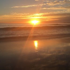 Meet your Posher, Miles